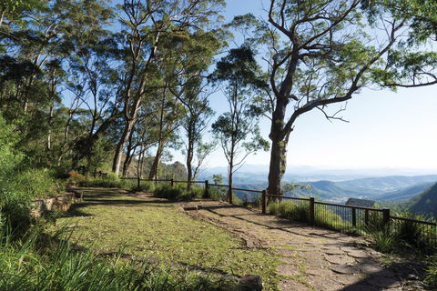 Morans Falls Track, Lamington National Park - Tourism Brisbane 1