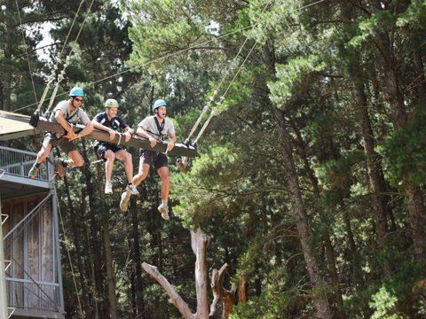 Mount Lofty Adventure Hub - Tourism Brisbane 1