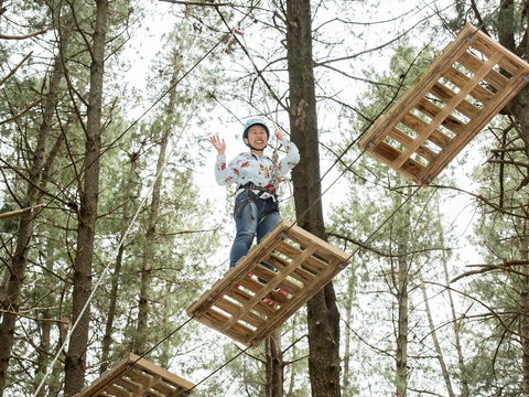 Mount Lofty Adventure Hub - Tourism Brisbane 2