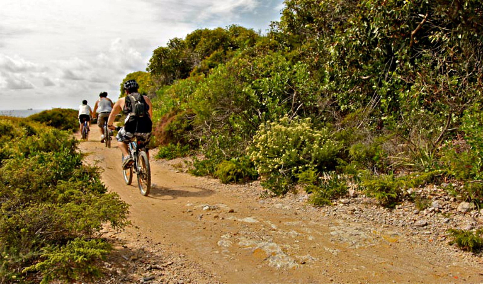 Highfields NSW Brisbane Tourism