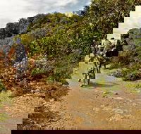 Mountain Biking Trails - Brisbane 4u