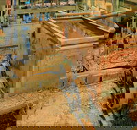 Mountain Maid gold mine - Tourism Brisbane