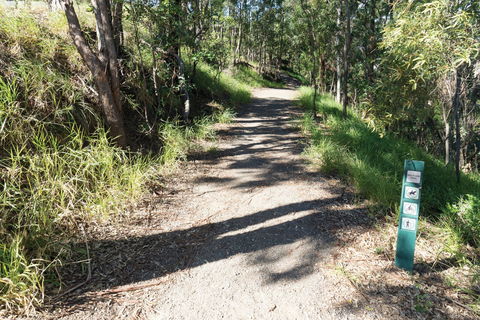 Mt Coot-tha Tourist Drive - Tourism Brisbane 2