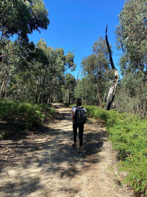 Mt Everard Circuit - Brisbane Tourism 0