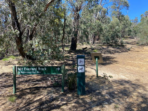 Mt Everard Circuit - Brisbane Tourism 1