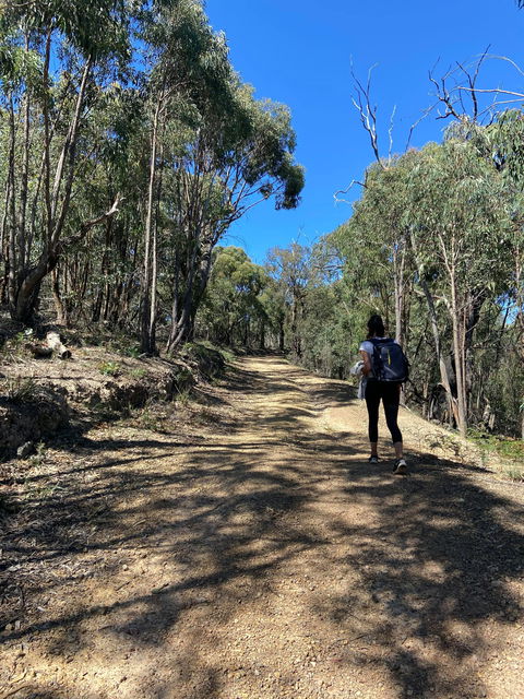 Mt Everard Circuit - Brisbane Tourism 2