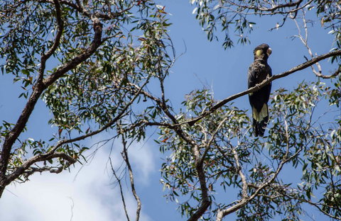 Mummel Gulf National Park - Brisbane Tourism 0