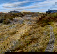 Murramarang Aboriginal Area Walking Track - Tourism Brisbane