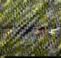 Murray River canoe trails - Tourism Brisbane