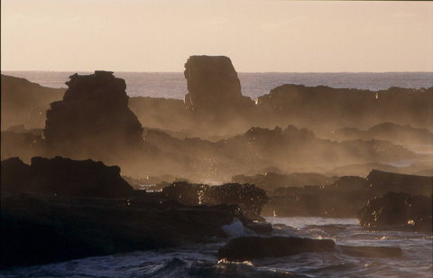 Mystery Bay Short Walk - Tourism Brisbane 1