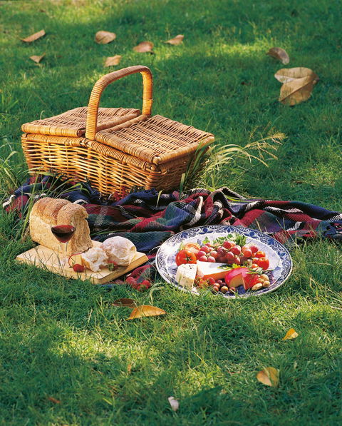 Nature And Foodies Trail - Brisbane Tourism 2