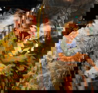 Oakey - Tourism Brisbane