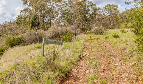 Old Mountain Road Walking Track - Tourism Brisbane 0