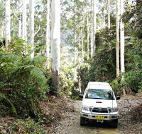 Orara Escarpment 4WD Touring Route - Tourism Brisbane