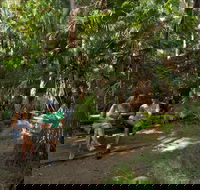 Palms picnic area - Tourism Brisbane
