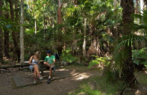 Palms Picnic Area - Tourism Brisbane 0