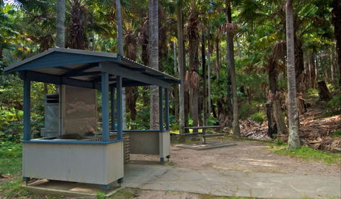 Palms Picnic Area - Tourism Brisbane 1