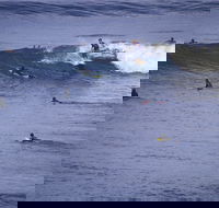 Point Addis Marine National Park - Brisbane 4u