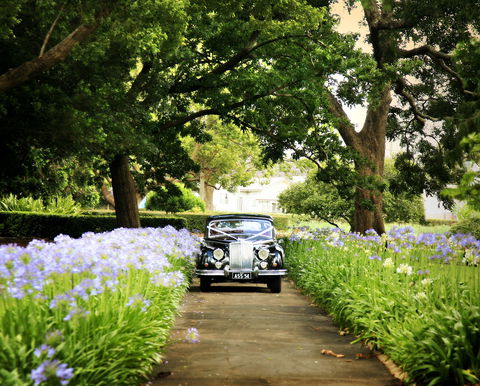 Queens Park, Toowoomba - Brisbane Tourism 2