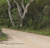 Riverview walking track - Tourism Brisbane