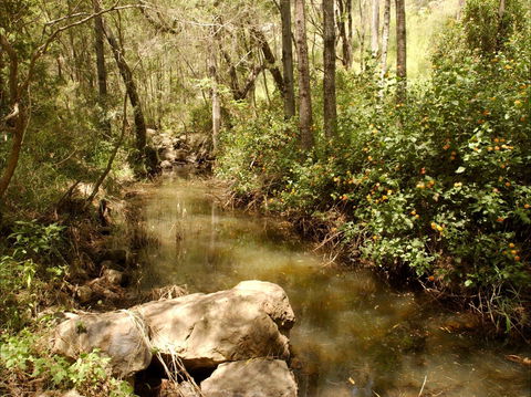 Sandy Creek Track - Brisbane Tourism 0