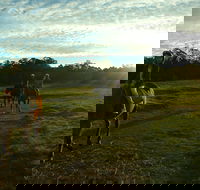 Scenic NSW Horse Riding Centre - Tourism Brisbane
