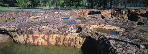 South Kolan - Tourism Brisbane 1