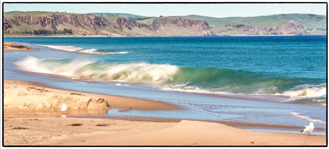 Starfish Hill Windfarm - Tourism Brisbane 0