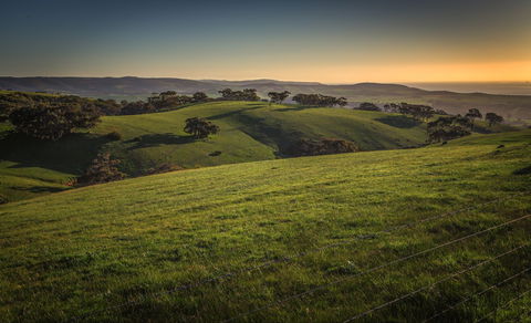 Starfish Hill Windfarm - Tourism Brisbane 1