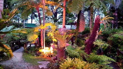 The Fernery At Diamond Waters - Tourism Brisbane 0