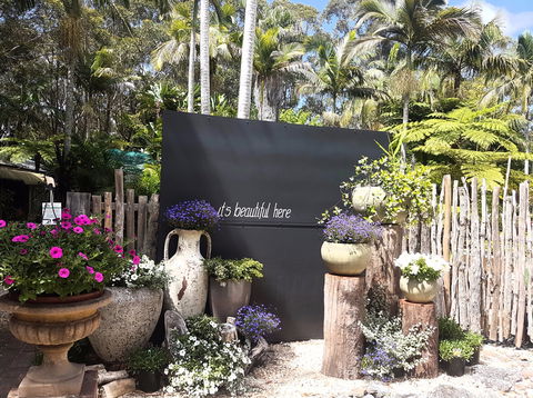 The Fernery At Diamond Waters - Tourism Brisbane 1