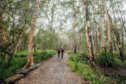 Venman Bushland National Park - Brisbane Tourism 0