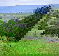 Wild Dog Barrier Fence - Tourism Brisbane