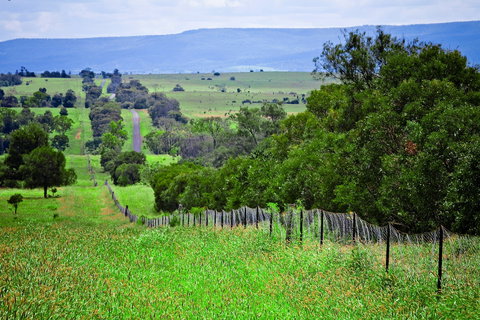 Wild Dog Barrier Fence - Brisbane Tourism 0