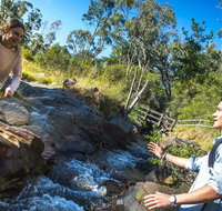 Yackandandah Gorge Scenic Walk - Tourism Brisbane