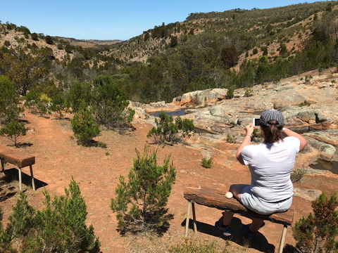 Yeldulknie Conservation Park Hiking Trail - Tourism Brisbane 0