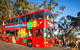 Blue Mountains Hop-on Hop-off Tour With Optional Scenic World Rides - thumb 0