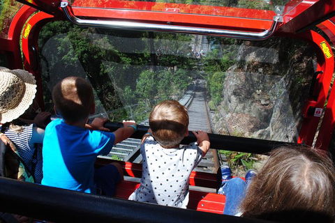 Blue Mountains Hop-on Hop-off Tour With Optional Scenic World Rides - Tourism Brisbane 7