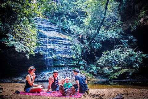 Blue Mountains Hop-on Hop-off Tour With Optional Scenic World Rides - Tourism Brisbane 4