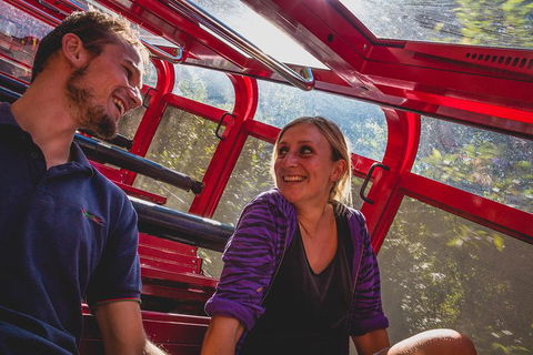 Blue Mountains Hop-on Hop-off Tour With Optional Scenic World Rides - Tourism Brisbane 6