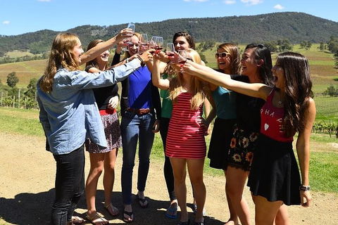 Hunter Valley Wine Tour Ex Newcastle Incl Lunch, Cheese, Chocolate & Distillery - Brisbane 4u 10