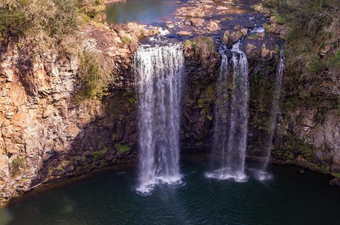 Rainforest & Waterfall Experience - Tourism Brisbane 1