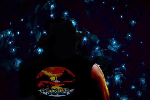 Blue Mountains Hiking Glow Worms Cave Wildlife Spotlighting Night Adventure - Tourism Brisbane 0