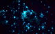 Blue Mountains Hiking Glow Worms Cave Wildlife Spotlighting Night Adventure - thumb 4