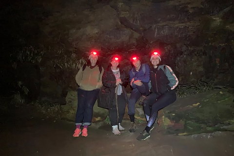 Blue Mountains Hiking Glow Worms Cave Wildlife Spotlighting Night Adventure - Tourism Brisbane 12