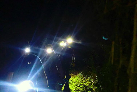Blue Mountains Hiking Glow Worms Cave Wildlife Spotlighting Night Adventure - Tourism Brisbane 8