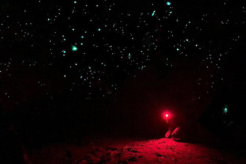 Blue Mountains Hiking Glow Worms Cave Wildlife Spotlighting Night Adventure - Tourism Brisbane 5