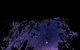 Blue Mountains Hiking Glow Worms Cave Wildlife Spotlighting Night Adventure - thumb 11