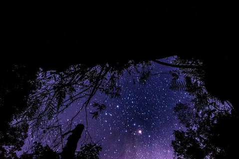 Blue Mountains Hiking Glow Worms Cave Wildlife Spotlighting Night Adventure - Tourism Brisbane 11