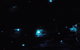 Blue Mountains Hiking Glow Worms Cave Wildlife Spotlighting Night Adventure - thumb 7